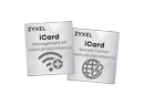 Perspective:Zyxel iCard Sec. Tunnel & Mng AP Service 1 Jahr