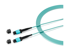 Zyxel câble fibre optique MPO-10M