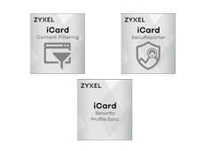 Zyxel iCard Content Filter Pack USG20(W)-VPN/USGFLEX, 1 mois