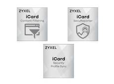 Zyxel iCard Content Filter Pack USG20(W)-VPN, 1 mois