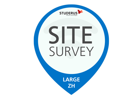 Site Survey LARGE-ZH vor Ort